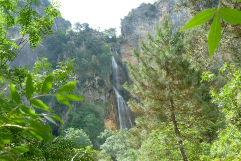 Parque natural de las Sierras de Cazorla, Segura y Las Villas