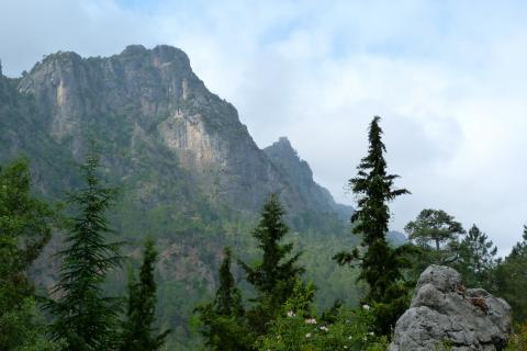 Parque natural de las Sierras de Cazorla, Segura y Las Villas