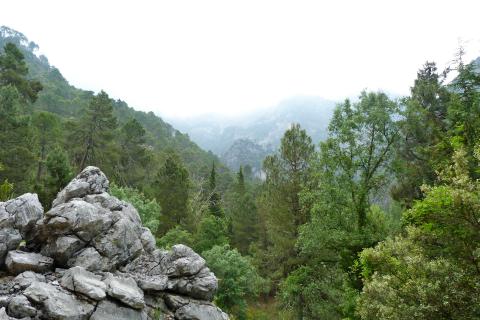 Parque natural de las Sierras de Cazorla, Segura y Las Villas