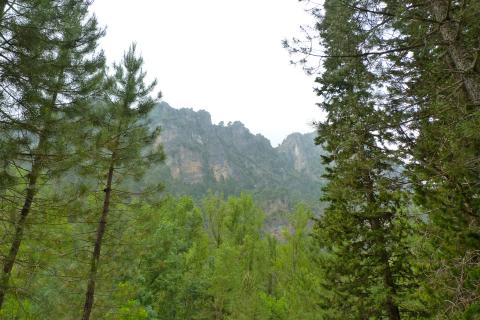 Parque natural de las Sierras de Cazorla, Segura y Las Villas