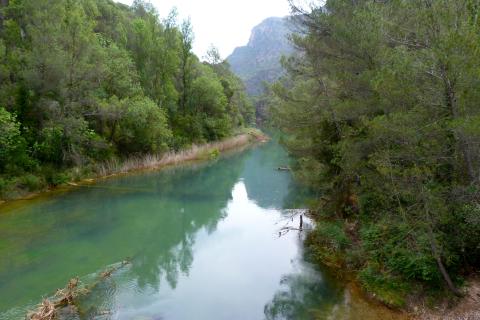 Parque natural de las Sierras de Cazorla, Segura y Las Villas