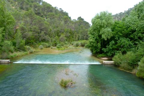 Parque natural de las Sierras de Cazorla, Segura y Las Villas