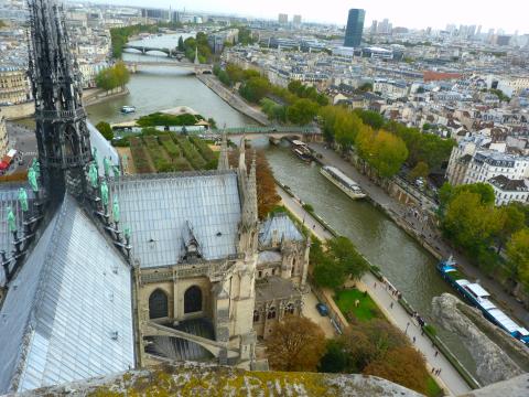 image Notre Dame