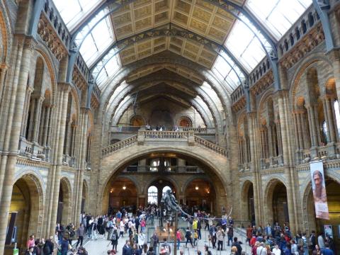 image Museo de historia natural