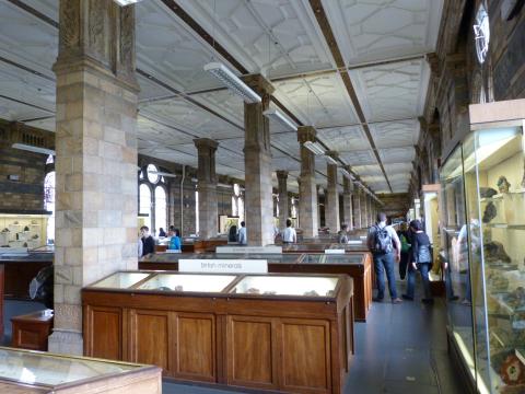 image Museo de historia natural