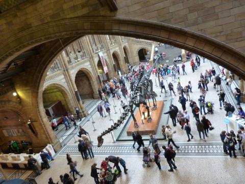 image Museo de historia natural