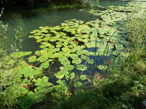 image Parque natural del Cañón del Río Lobos