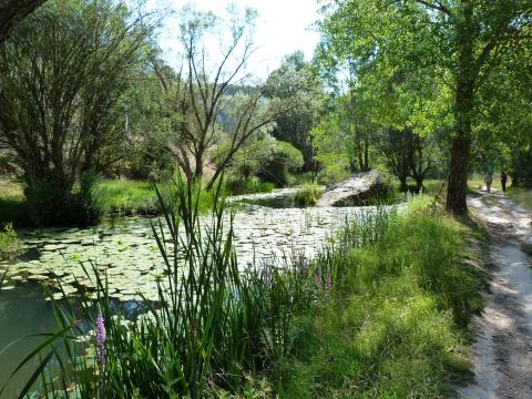 image Parque natural del Cañón del Río Lobos