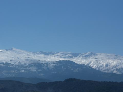 image Sierra nevada de Granada y masa forestal