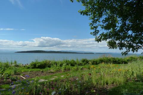 image Rio San Lorenzo