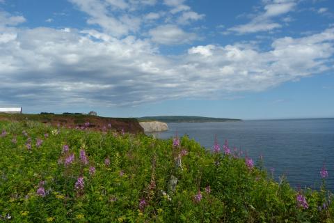 image Isla Bonaventure