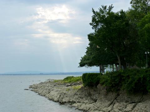 image Isla de Orleans