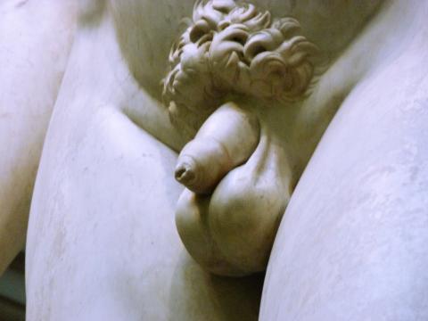 image Escultura David de Miguel Ángel 