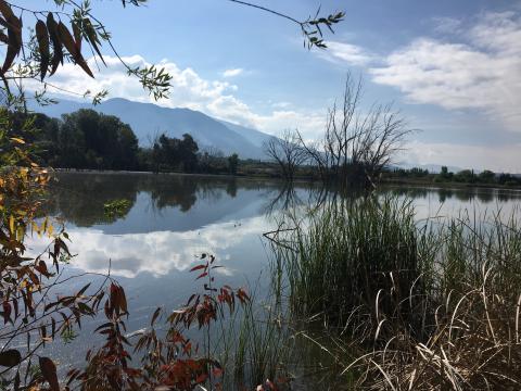 image Lagunas del Padul