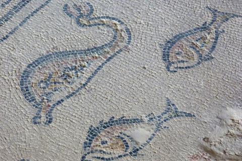 image Villa Romana de Salar