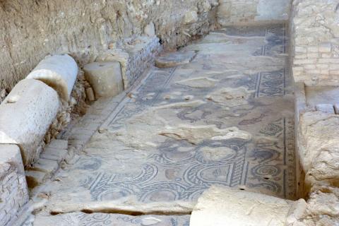 image Villa Romana de Salar