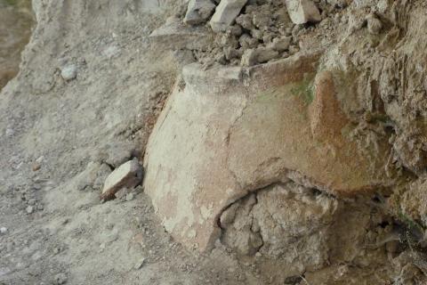 image Villa Romana de Salar