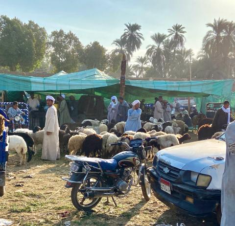 image Mercado en Egipto
