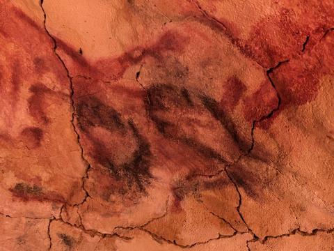 image Arte rupestre en la Cueva de Altamira