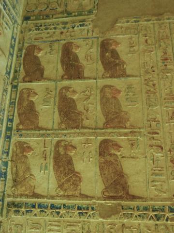 image Relieves de  mandriles