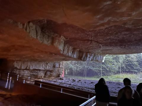 image Interior de la Cueva de Altamira