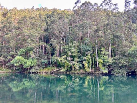 image Parque Natural Fragas del Eume, Puentedeume (A Coruña)
