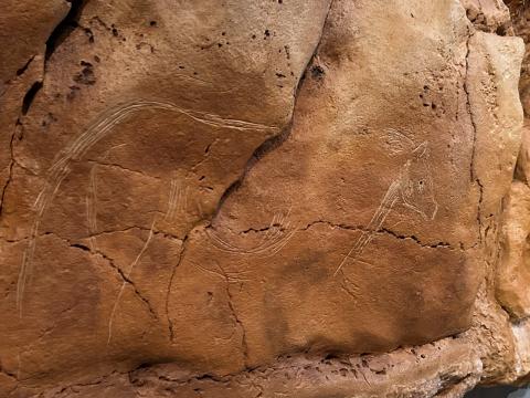 image Grabado cueva de Altamira