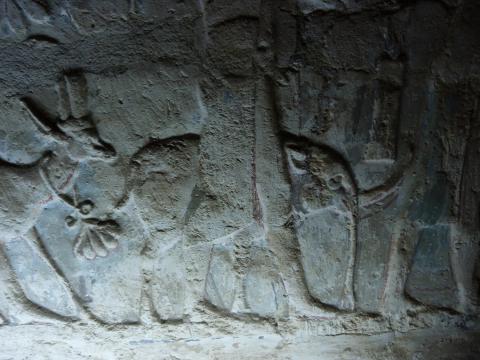 image Relieve de elefante