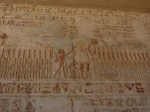 image Relieves de la cosecha