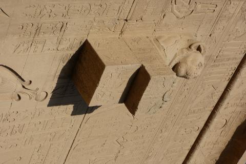 image Gárgola de león