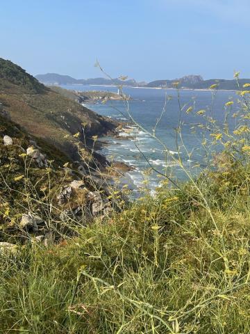 image Facho de Donón