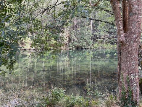 image Parque Natural Fragas del Eume, Puentedeume (A Coruña)