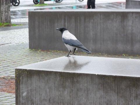 image Monumento a los judíos de Europa asesinados
