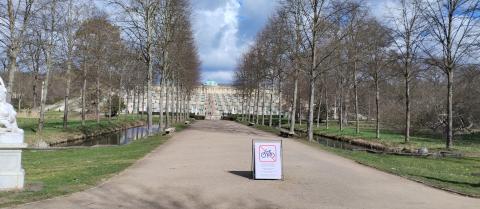 image Jardines palacio de Sanssouci 
