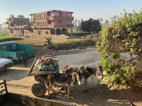 image Vida cotidiana en Egipto