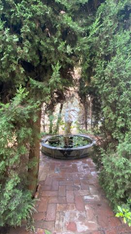 image Fuente en el palacio de Viana