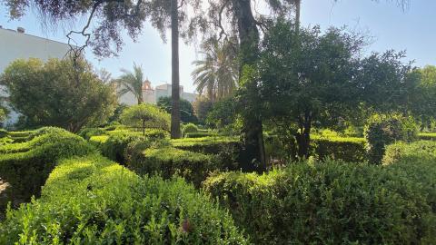 image Jardines del palacio de Viana
