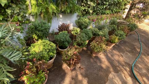 Plantas del palacio de Viana