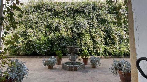 Patios del palacio de Viana