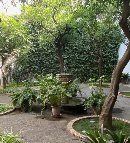 Patios del palacio de Viana