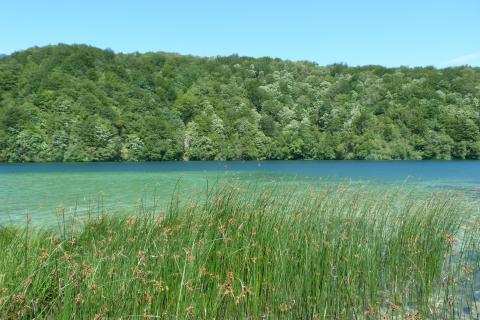 image Parque Nacional de los Lagos de Plitvice