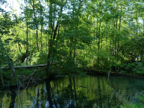 image Parque Nacional de los Lagos de Plitvice