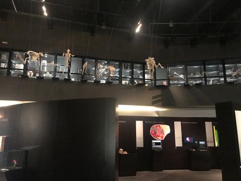 image Parque de las Ciencias de Granada