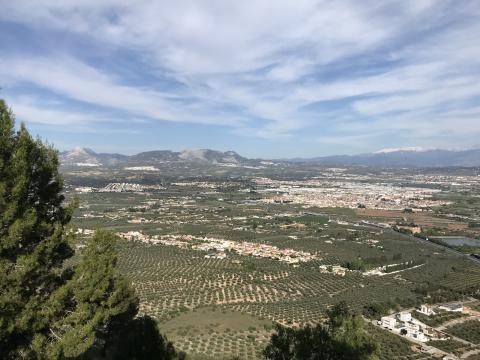 image Vega de Granada