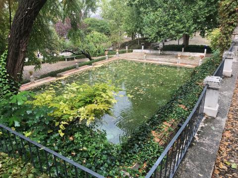 image Jardín renacentista