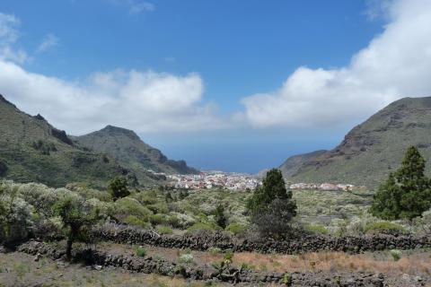 Tenerife