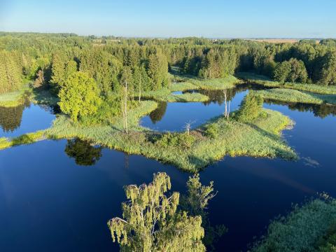 image Parque regional de Biržai, Lituania.