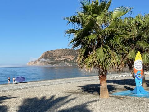 image Playa de Almuñécar