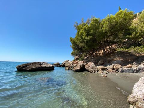 image Playa de Málaga
