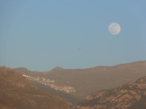 image Paisaje con calima